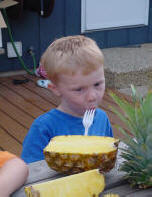 Click to see the Peasleburg entourage tackles The Pineapple Challenge.