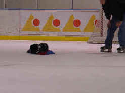 Indeed, that lump on the ice is The Ambassador. He's contemplating the molecular structure of ice. No, really!